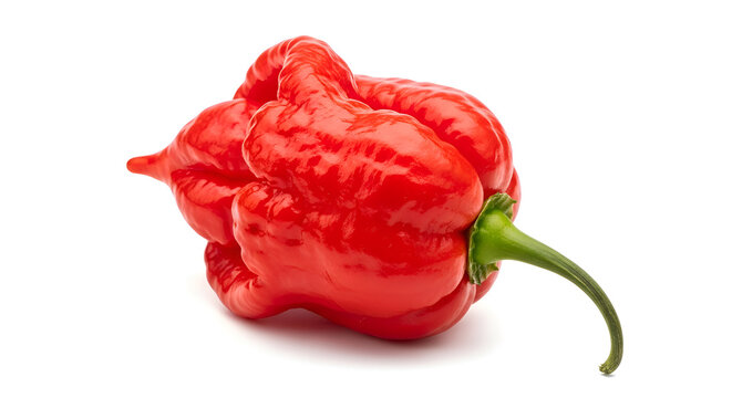 Vibrant red hot chili pepper isolated.