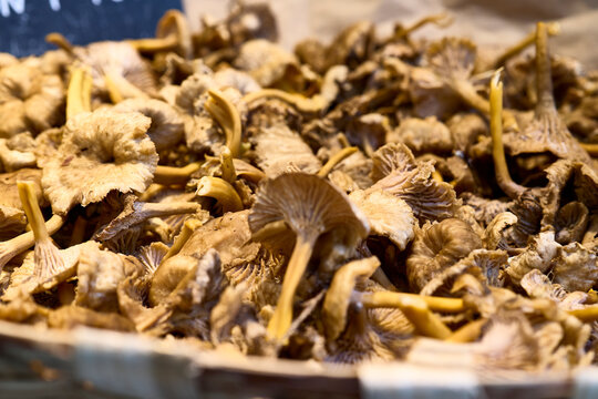 Mushrooms. A display of mushrooms at a market stall in the city of Porto.
