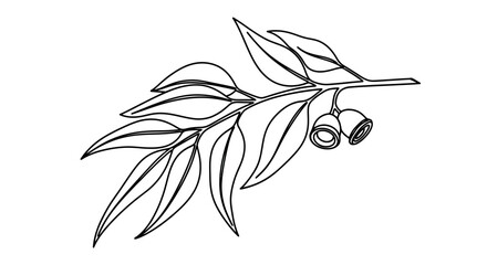 A delicate line drawing of a eucalyptus branch with leaves and gumnuts © Sendal