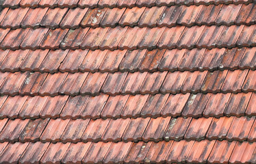 Naklejka premium close up on old roof shingle 