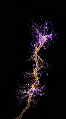 Intricate Neuron Detail: An in-depth view of a neuron, revealing the complex structure of a central nervous system cell with detailed, illuminated branches and pathways. © medienvirus