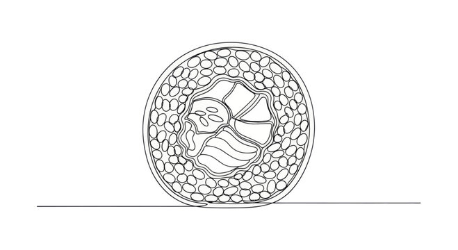 Detailed line art of a single sushi roll with many small oval shapes