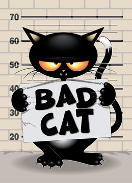 Funny and Upset Cat Mugshot Portrait holding the panel with text "bad cat". Black Cat Meme Vector Poster EPS 