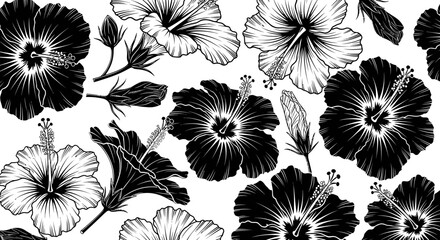 Fototapeta premium Black and white floral pattern hibiscus and botanical sketch