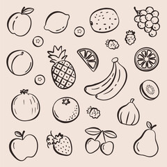 Obraz premium Naive hand drawn fruit doodle set in square layout. Minimal sketch style with imperfect lines and boho color palette. Modern organic collection for packaging, social media, posters, stickers and patte