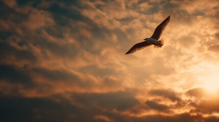 Fototapeta premium Majestic Bird Soaring Through the Sky During the Golden Hour with Dramatic Cloud Patterns and Warm Light