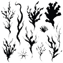 Obraz premium Traditional Japanese Sumi-e Abstract Smoke and Seaweed Ink Silhouettes Set