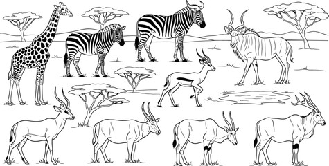 Fototapeta premium African Safari Animals Illustration Set with Giraffes, Zebras, Antelopes, and Kudus on the Savanna