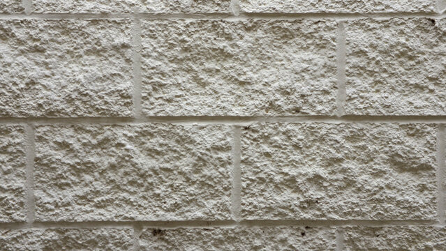 A close-up shot of a white cinder block wall. The blocks feature a heavily rusticated, stucco-like texture with deep pits and bumps, arranged in a traditional offset running bond pattern.