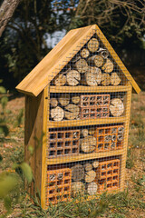 Fototapeta premium Natural bee shelter supporting garden biodiversity
