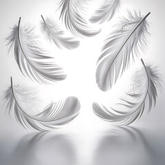 Fototapeta premium Beautiful white feathers floating gently in air isolated on white background