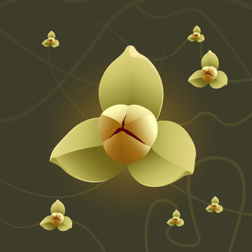 Romdoul Flower Vector &ndash; Cambodian National Flower Illustration