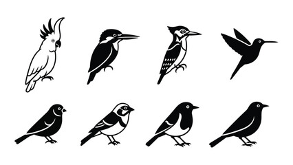 A collection of black and white bird silhouettes featuring diverse species and wing positions high quality © MDRaisul