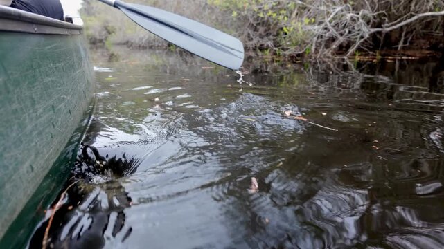 Close up slow motion shot of woman paddling a canoe through the Okefenokee Swamp of Georgia, USA.