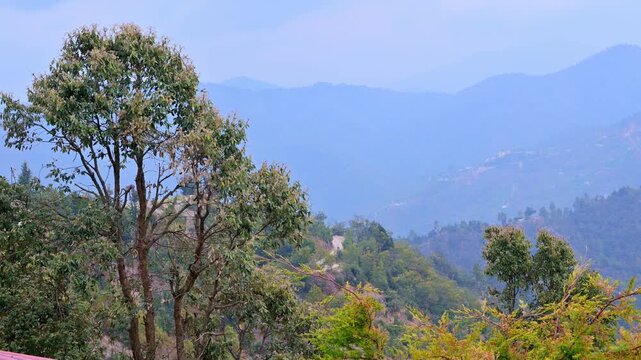Time-lapse view of Mukteshwar, Uttarakhand, India, featuring a foreground tree overlooking rolling forested hills and a winding path, soft sun rays breaking through mist and clouds, mountain ranges.