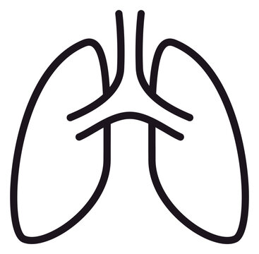 Minimalist black line art vector icon of human lungs, representing the respiratory system and breathing. Scalable illustration for medical, healthcare, and wellness designs on white background.