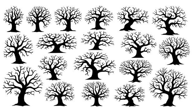Large collection of dead tree silhouettes creepy leafless forest trees vector set isolated on white background Halloween design