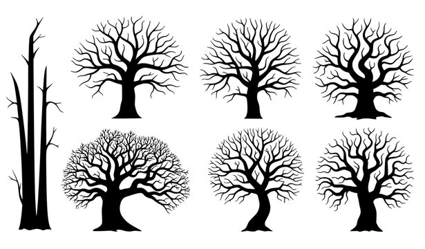 Creepy dead tree silhouette bundle vector illustration set of spooky leafless trees for Halloween decoration isolated white background