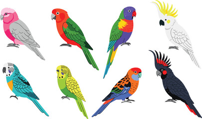 Naklejka premium Colorful Parrot and Cockatoo Vector Set Featuring Species Like Macaw, Lovebird, and Cockatoo for Avian and Wildlife Illustrations
