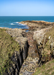 Fototapeta premium spring time walking around Holyhead Breakwater park