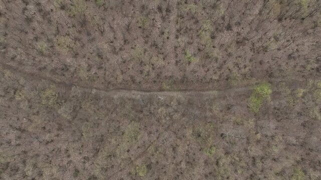Aerial view of a massive mountain covered in dense leafless forest during spring under a blue sky with scattered clouds, featuring a narrow dirt road at the base.