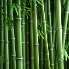 Obraz premium Green bamboo stems texture natural background