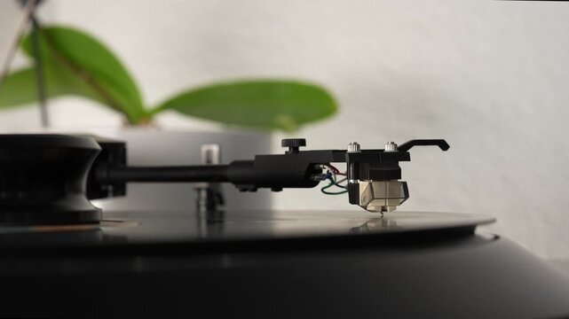 Turntable stylus playing vinyl record