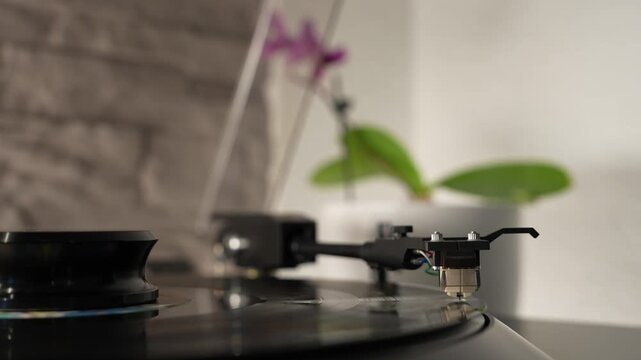 Turntable stylus playing vinyl record