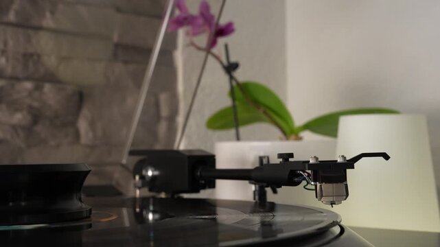 Turntable stylus playing vinyl record