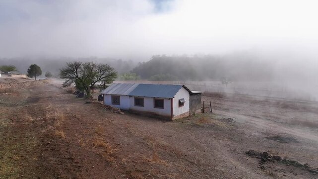  Fields, nature, fog and rain, between the houses and the humid nature