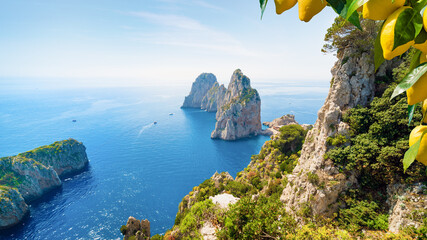 Faraglioni rocks rise from blue Mediterranean Sea near Capri island, Italy. Steep limestone cliffs with green vegetation and lemon branches frame coastal landscape of Capri under clear sky © IgorZh