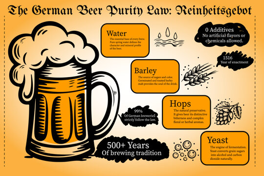 Educational infographic about the German Beer Purity Law (Reinheitsgebot), detailing its history since 1516, traditional ingredients, and its impact on quality.