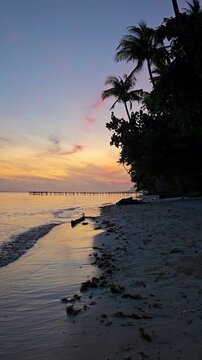 Bright sunset with coconut palm trees and sea, vertical shot. Walking on beach near Paisu Pok lake