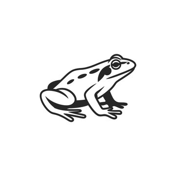 A black and white illustration of a spotted frog in profile view