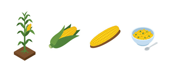 Obraz premium corn flat color isometric vector