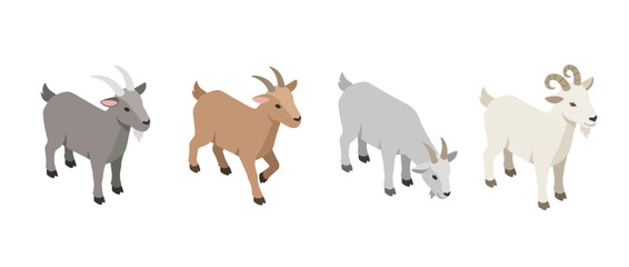 Obraz premium goat flat color isometric vector