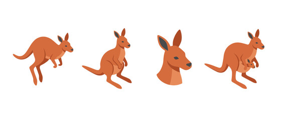 Obraz premium kangaroo flat color isometric vector