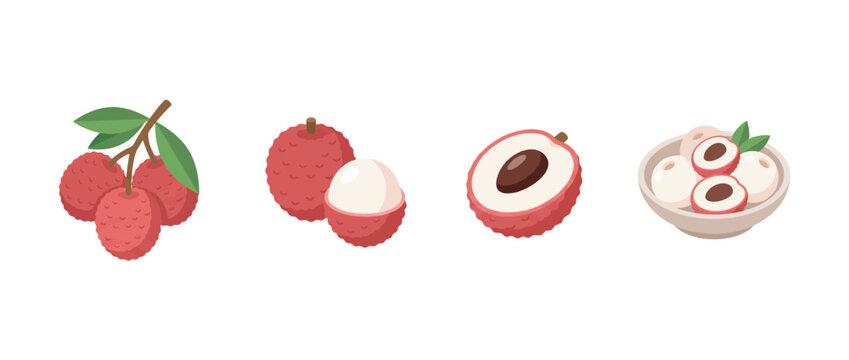 lychee flat color isometric vector