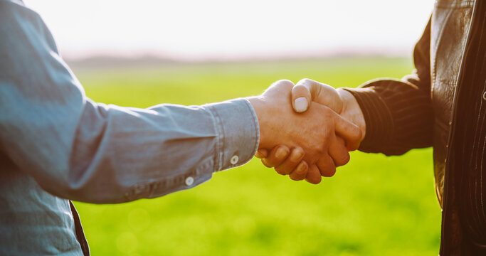 Two individuals from different backgrounds come together in a green field to shake hands. This action marks the beginning of a new agreement or partnership. It is bright and sunny.
