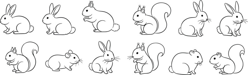 Obraz premium Set of cute rabbit and squirrel line art illustrations in different poses isolated on white background for animal design use