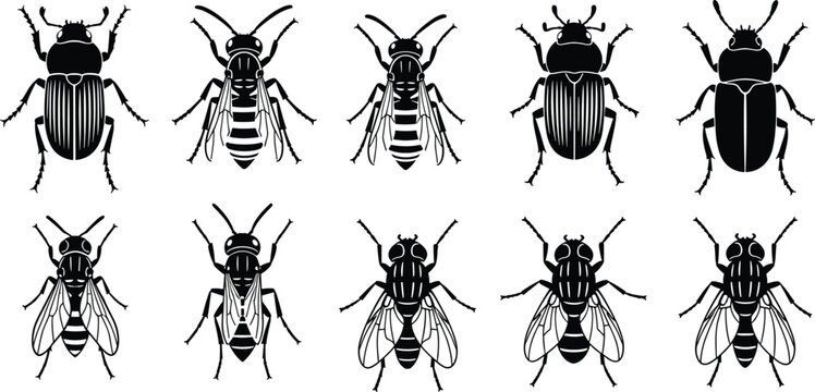 Set of insect silhouettes including beetles flies and bugs detailed collection of different species vector illustration isolated