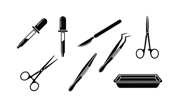 Essential tools commonly used in medical and laboratory procedures