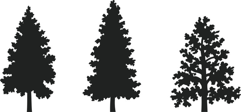 Pine tree silhouettes set, forest evergreen trees collection, nature vector illustration design elements