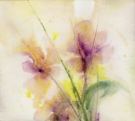 Fototapeta premium Watercolor Iris Flower, Hand Painted Botanical Floral Illustration