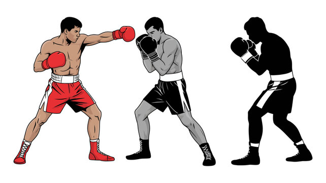 Boxers fighting pose illustration and silhouette graphic