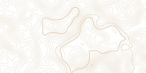 Abstract pattern with lines seamless pattern and topography map and counter map.Topography and geography map grid abstract backdrop. © MITA