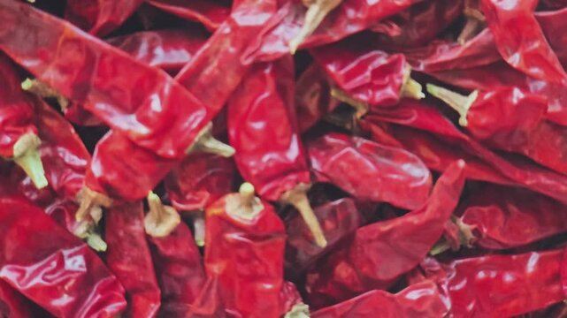 A pile of dried red chillies, essential for heat and flavor in Indian and global dishes. Used whole or ground, these dehydrated peppers are a culinary staple, providing a bold, pungent, and spicy kick