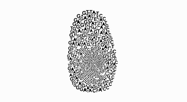 Unique fingerprint formed by DNA genetic code sequences, representing identity and science.