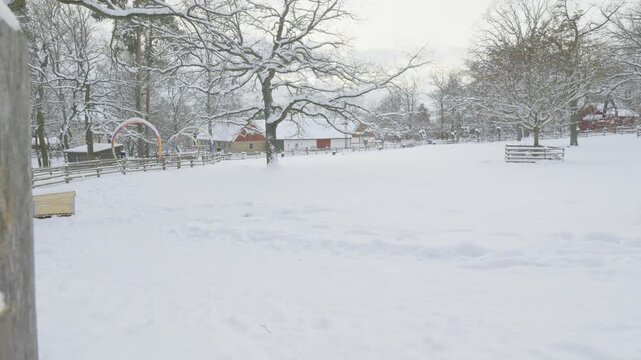 A serene winter scene showcasing snow-covered trees and a quaint farm surrounded by white landscapes. The quiet beauty of nature in winter invokes a peaceful atmosphere and highlights the charm of rur