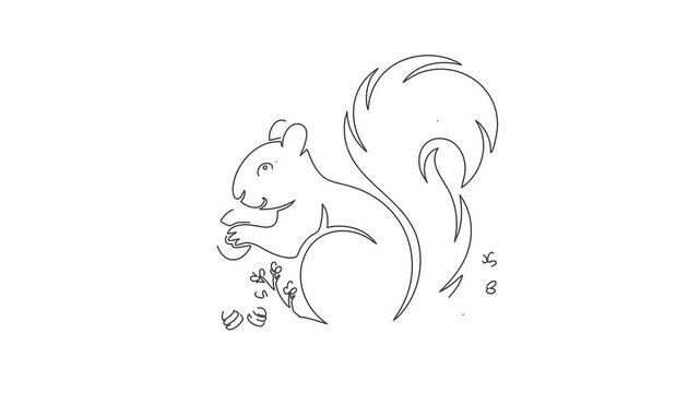 Continuous single line animation of squirrel for spring season Easter concept minimalist line art video